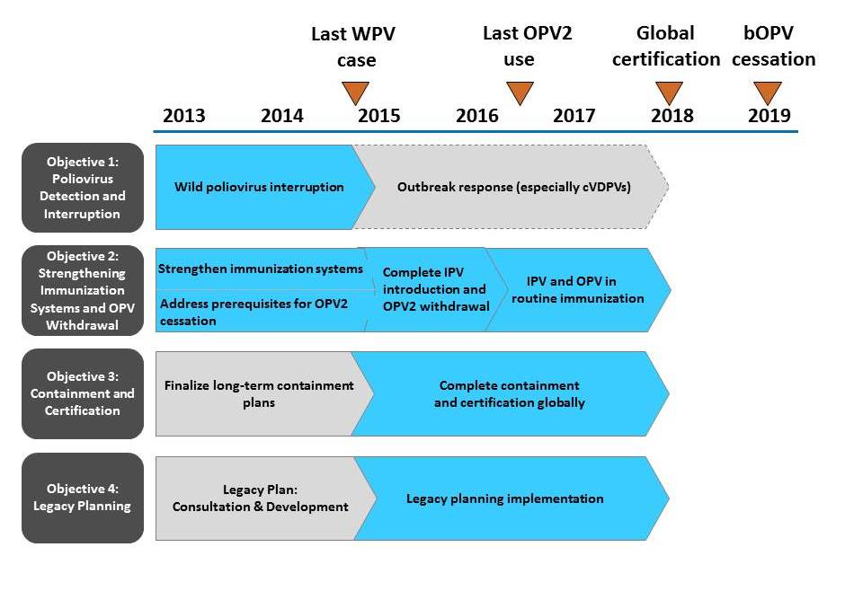 PolioEradicationTargets2013-2018